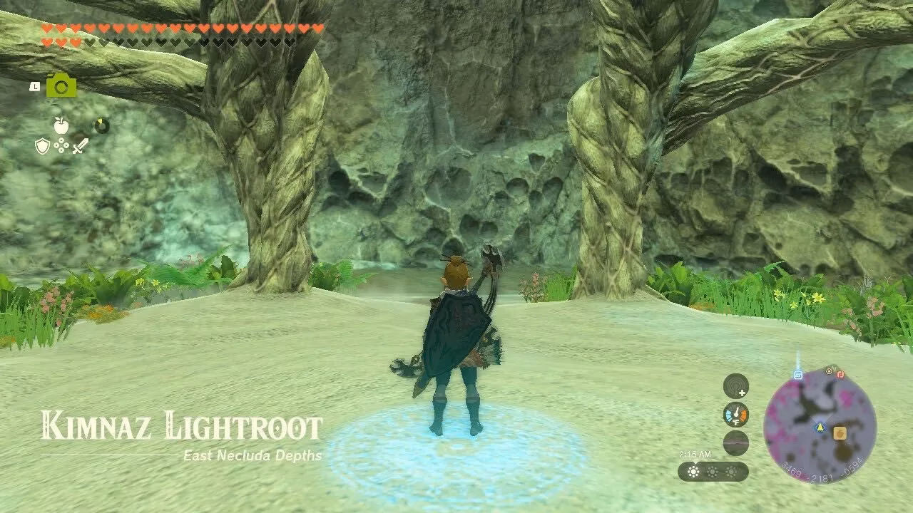 tears-of-the-kingdom-complete-lightroot-locations-in-the-depths-image-9